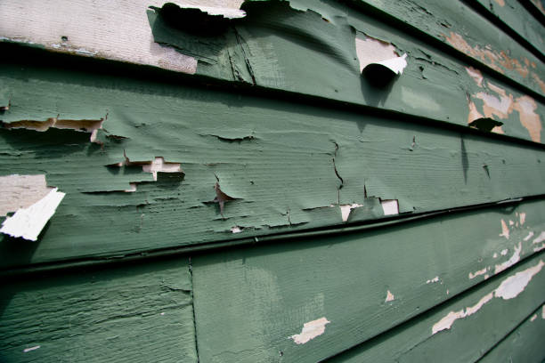 Best Construction Debris Removal  in St John, IN