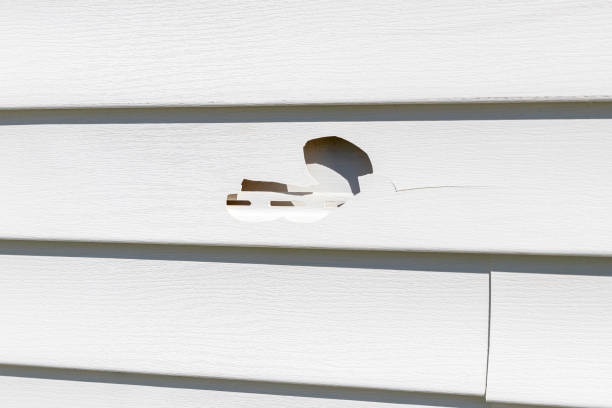 Best Property Management Cleanouts  in St John, IN